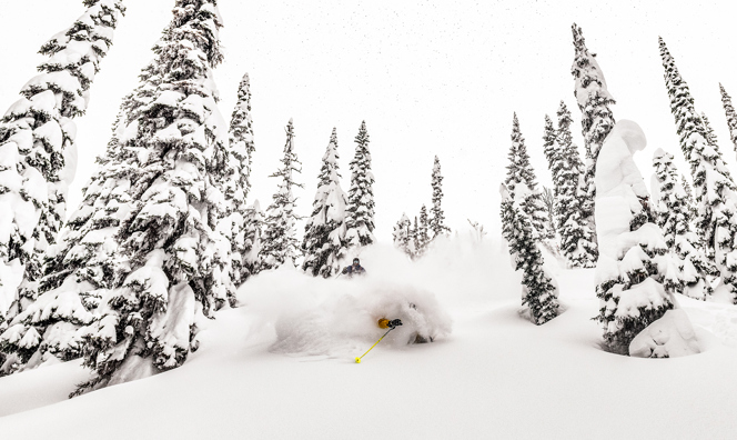deep Powder in Canadian trees